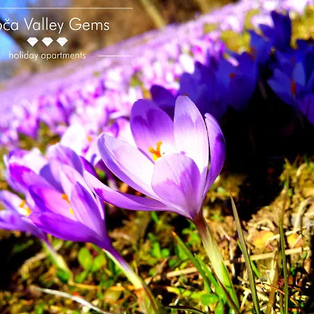 Amber Alpine Retreat Soca Valley Apartman