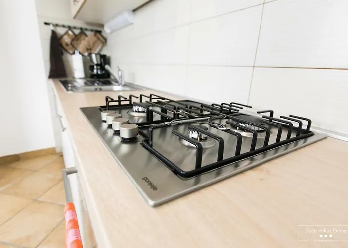 Διαμέρισμα Amber Kobarid